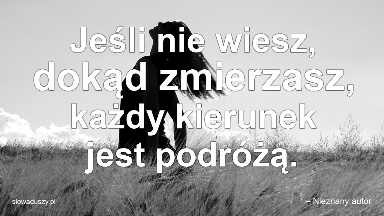 Jeśli nie wiesz,  dokąd zmierzasz,  każdy kierunek jest podróżą. - – Nieznany autor