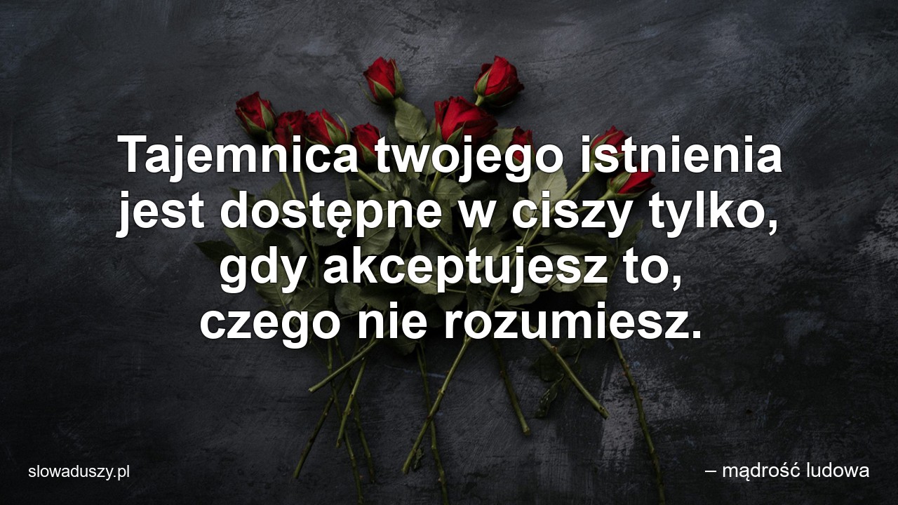 Tajemnica twojego istnienia jest dostępne w ciszy tylko,  gdy akceptujesz to,  czego nie rozumiesz.