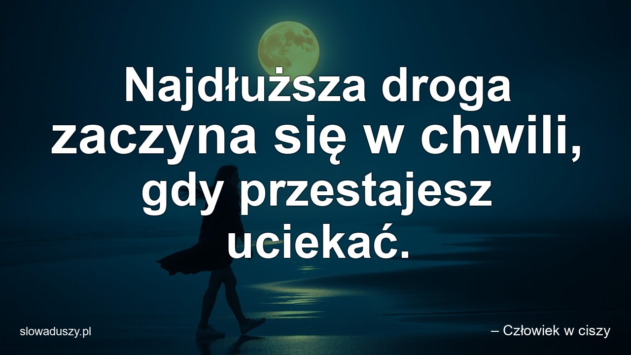 Najdłuższa droga zaczyna się w chwili,  gdy przestajesz uciekać. - – Człowiek w ciszy