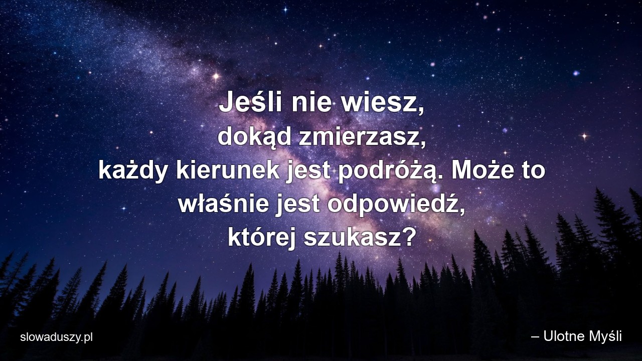 Jeśli nie wiesz,  dokąd zmierzasz,  każdy kierunek jest podróżą. Może to właśnie jest odpowiedź,  której szukasz? - – Ulotne Myśli