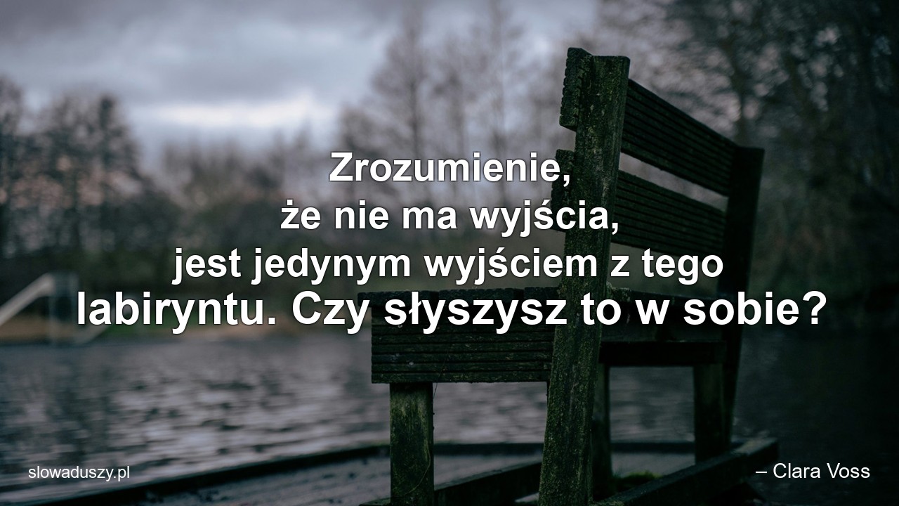 Zrozumienie,  że nie ma wyjścia,  jest jedynym wyjściem z tego labiryntu. Czy słyszysz to w sobie? - – Clara Voss