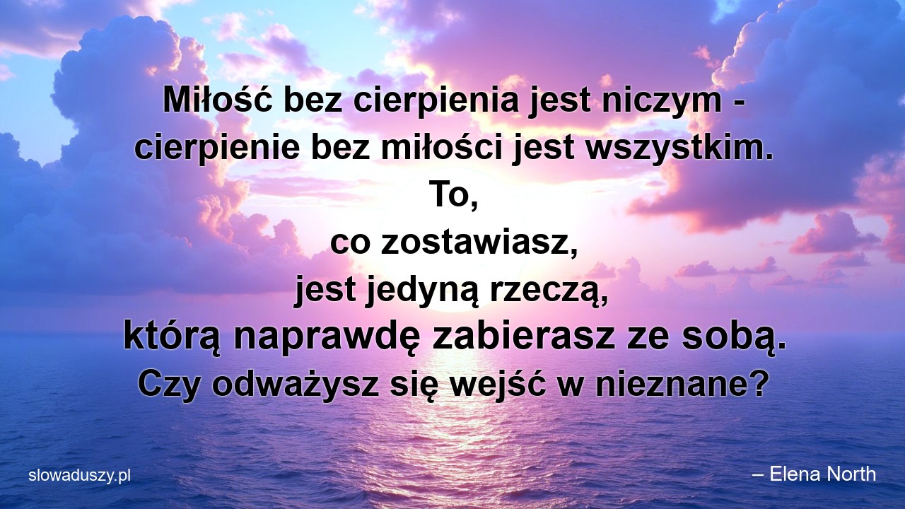 Miłość bez cierpienia jest niczym - cierpienie bez miłości jest wszystkim. To,  co zostawiasz,  jest jedyną rzeczą,  którą naprawdę zabierasz ze sobą. Czy odważysz się wejść w nieznane? - – Elena North