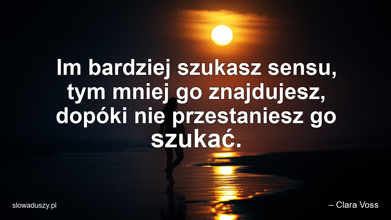Im bardziej szukasz sensu,  tym mniej go znajdujesz,  dopóki nie przestaniesz go szukać. - – Clara Voss