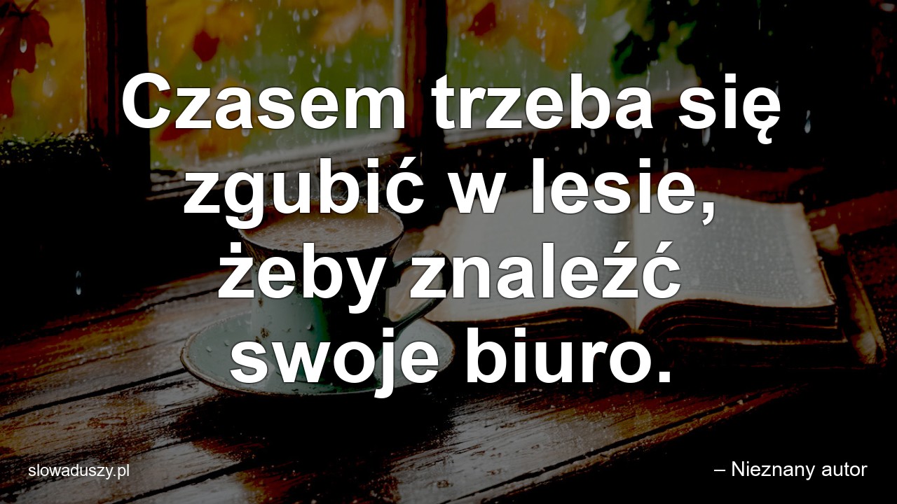 Czasem trzeba się zgubić w lesie,  żeby znaleźć swoje biuro. - – Nieznany autor