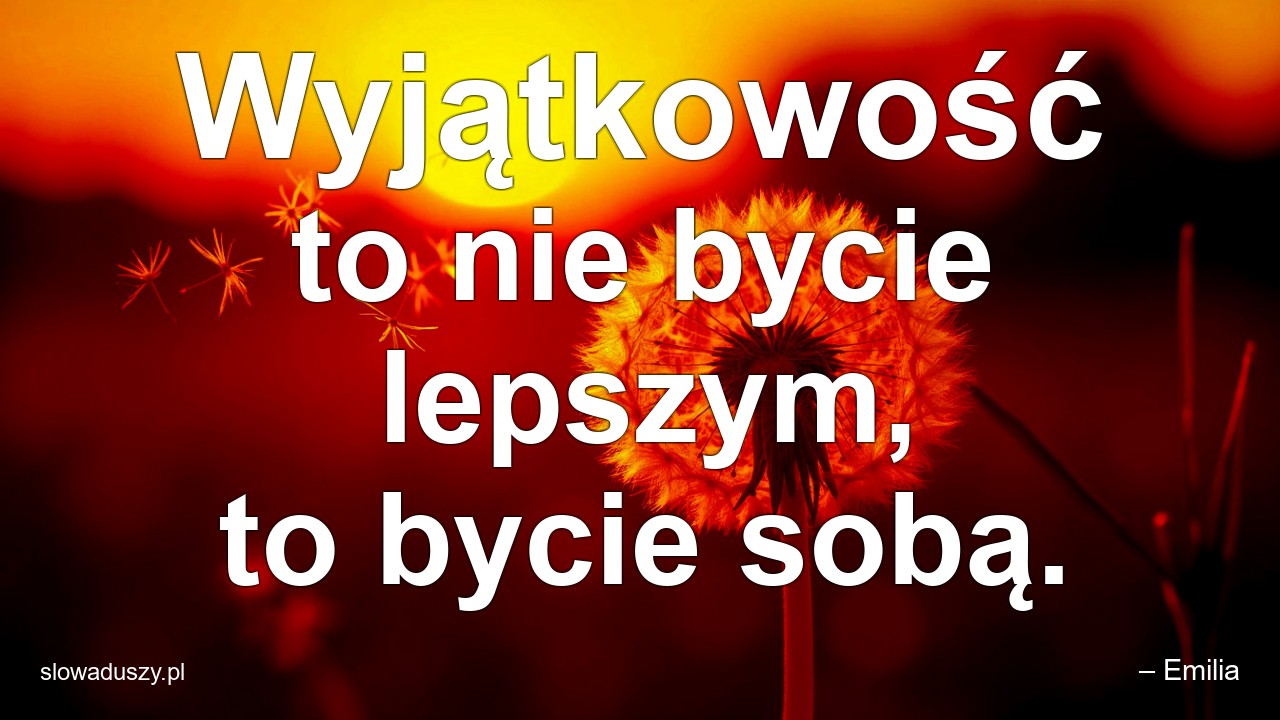 Wyjątkowość to nie bycie lepszym,  to bycie sobą. - – Emilia