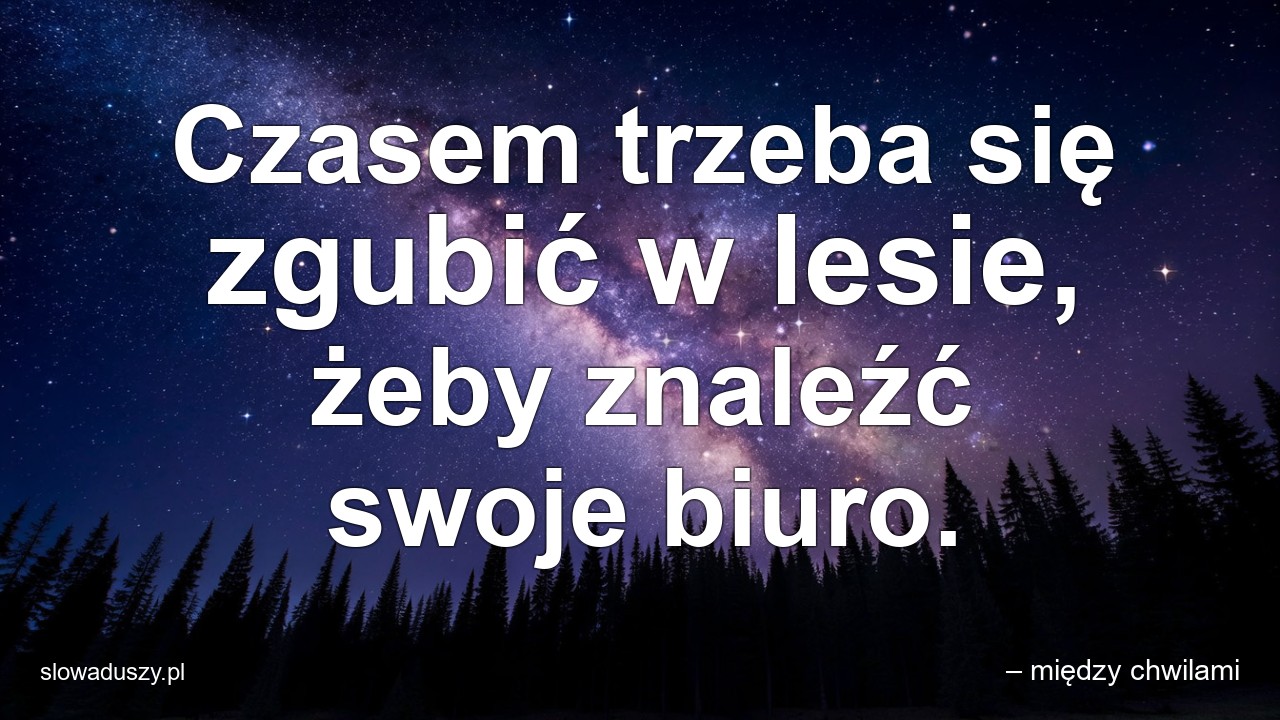 Czasem trzeba się zgubić w lesie,  żeby znaleźć swoje biuro. - – między chwilami