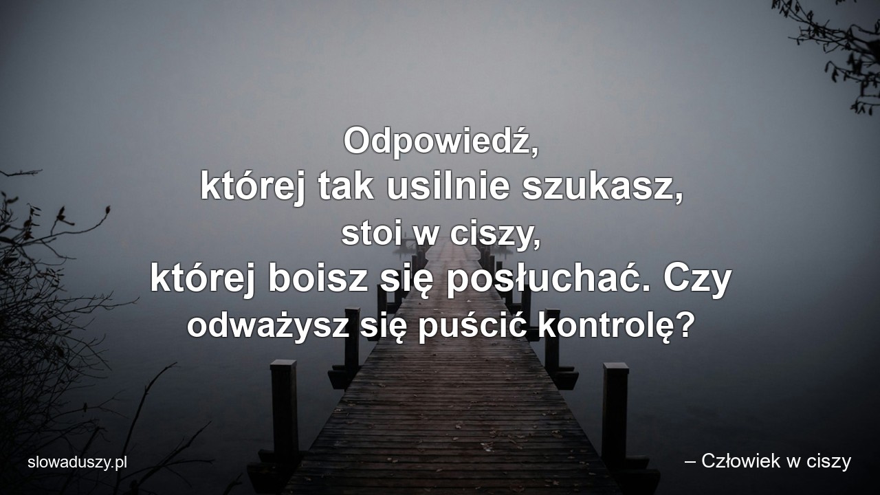 Odpowiedź,  której tak usilnie szukasz,  stoi w ciszy,  której boisz się posłuchać. Czy odważysz się puścić kontrolę? - – Człowiek w ciszy