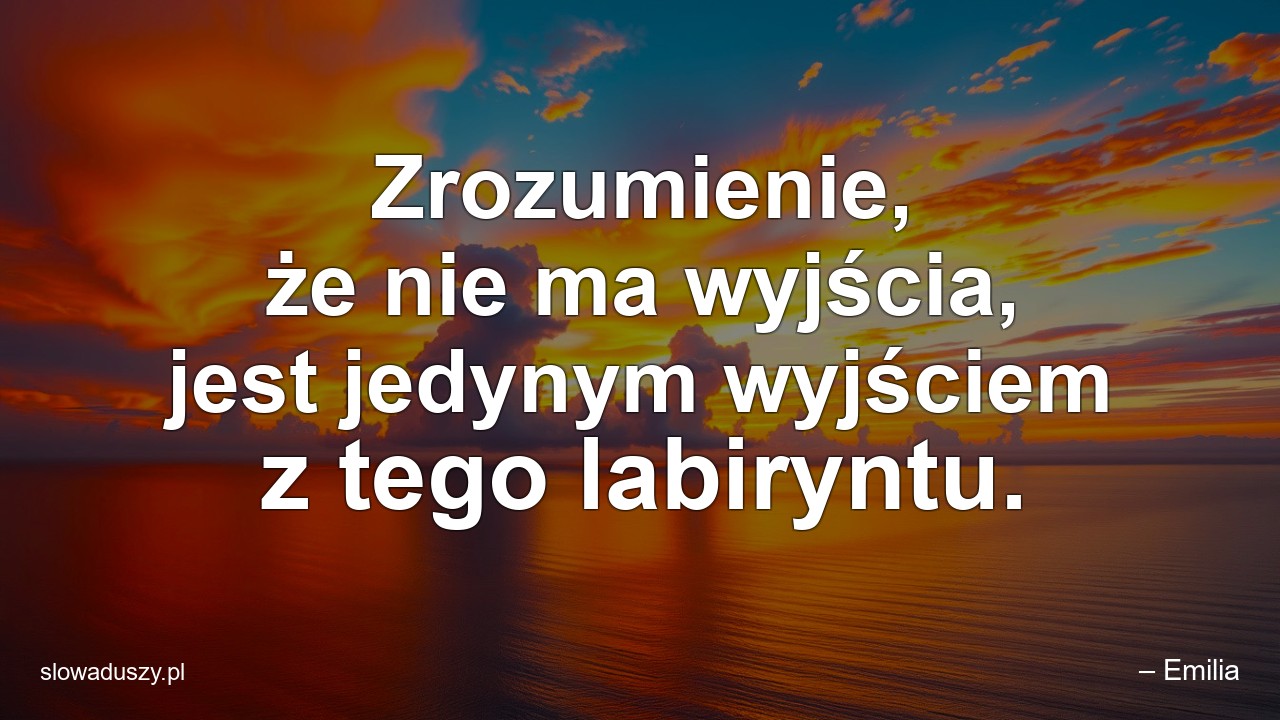 Zrozumienie,  że nie ma wyjścia,  jest jedynym wyjściem z tego labiryntu. - – Emilia