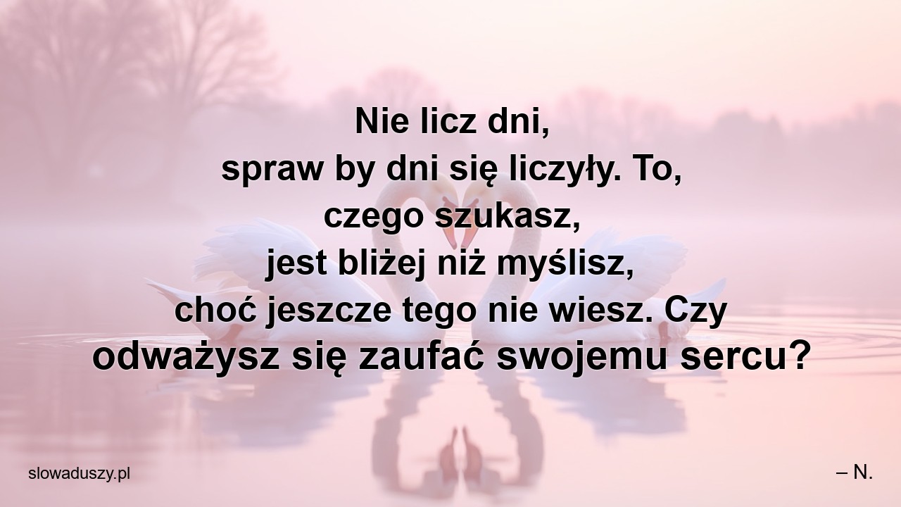 Nie licz dni,  spraw by dni się liczyły. To,  czego szukasz,  jest bliżej niż myślisz,  choć jeszcze tego nie wiesz. Czy odważysz się zaufać swojemu sercu?