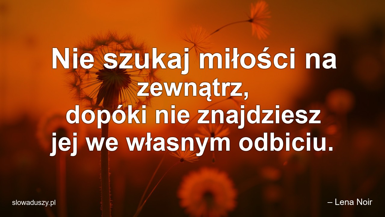 Nie szukaj miłości na zewnątrz,  dopóki nie znajdziesz jej we własnym odbiciu. - – Lena Noir