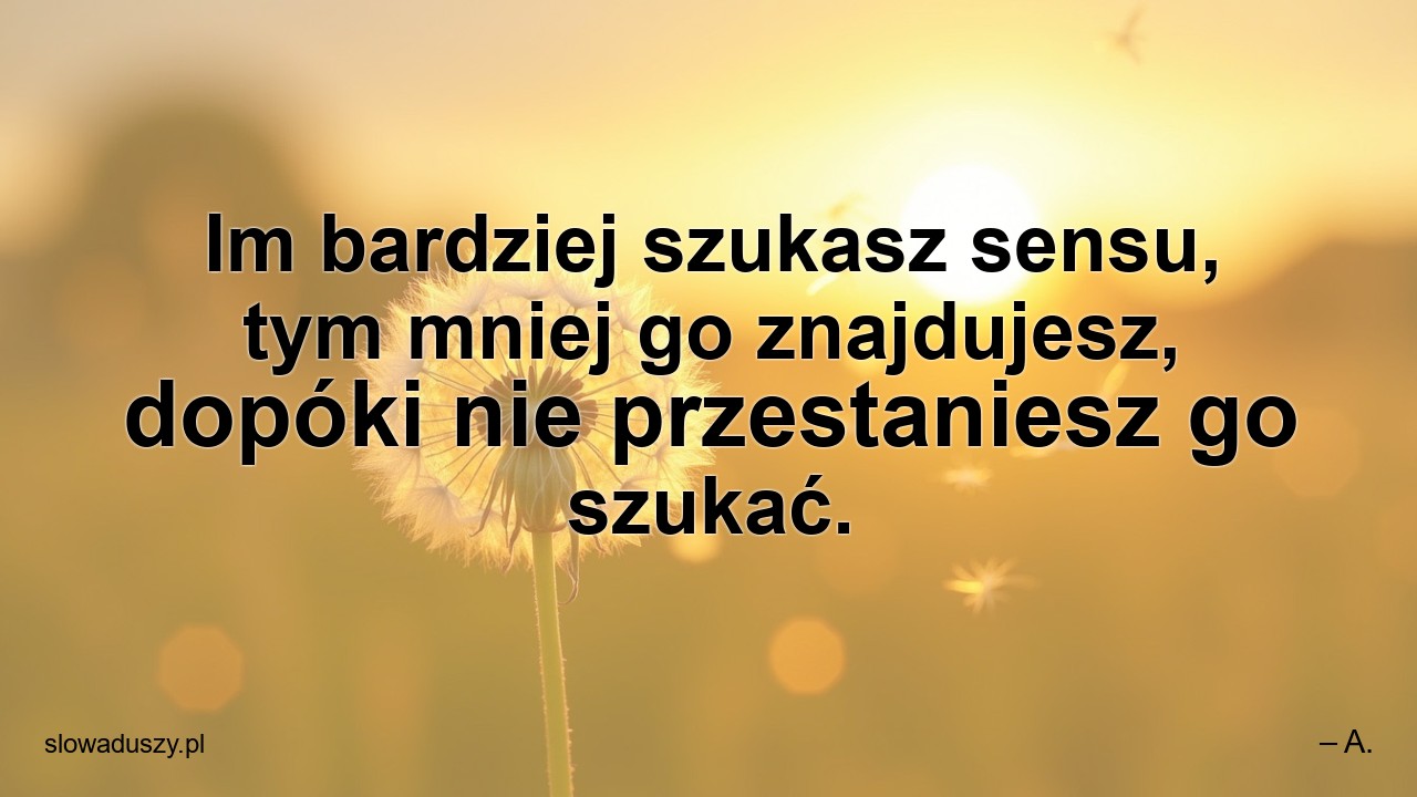 Im bardziej szukasz sensu,  tym mniej go znajdujesz,  dopóki nie przestaniesz go szukać.