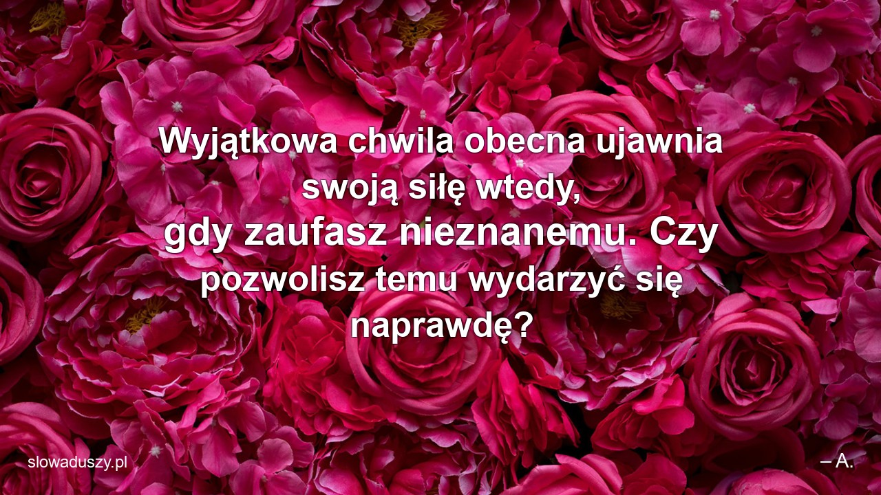 Wyjątkowa chwila obecna ujawnia swoją siłę wtedy,  gdy zaufasz nieznanemu. Czy pozwolisz temu wydarzyć się naprawdę?