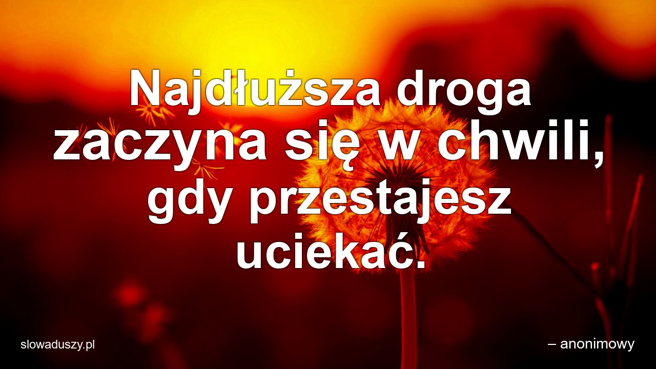 Najdłuższa droga zaczyna się w chwili,  gdy przestajesz uciekać.