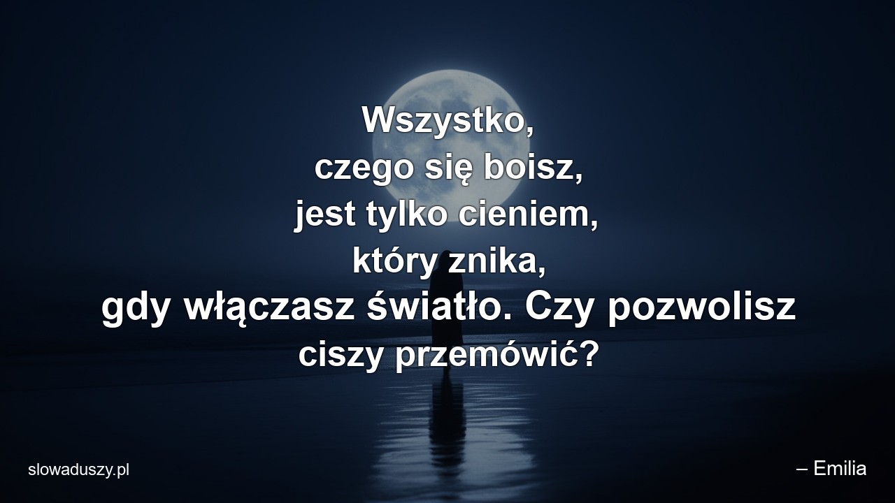 Wszystko,  czego się boisz,  jest tylko cieniem,  który znika,  gdy włączasz światło. Czy pozwolisz ciszy przemówić? - – Emilia