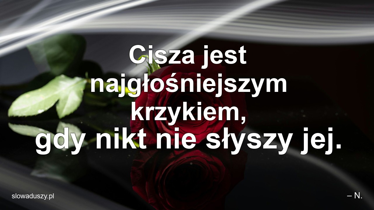 Cisza jest najgłośniejszym krzykiem,  gdy nikt nie słyszy jej. - – N.
