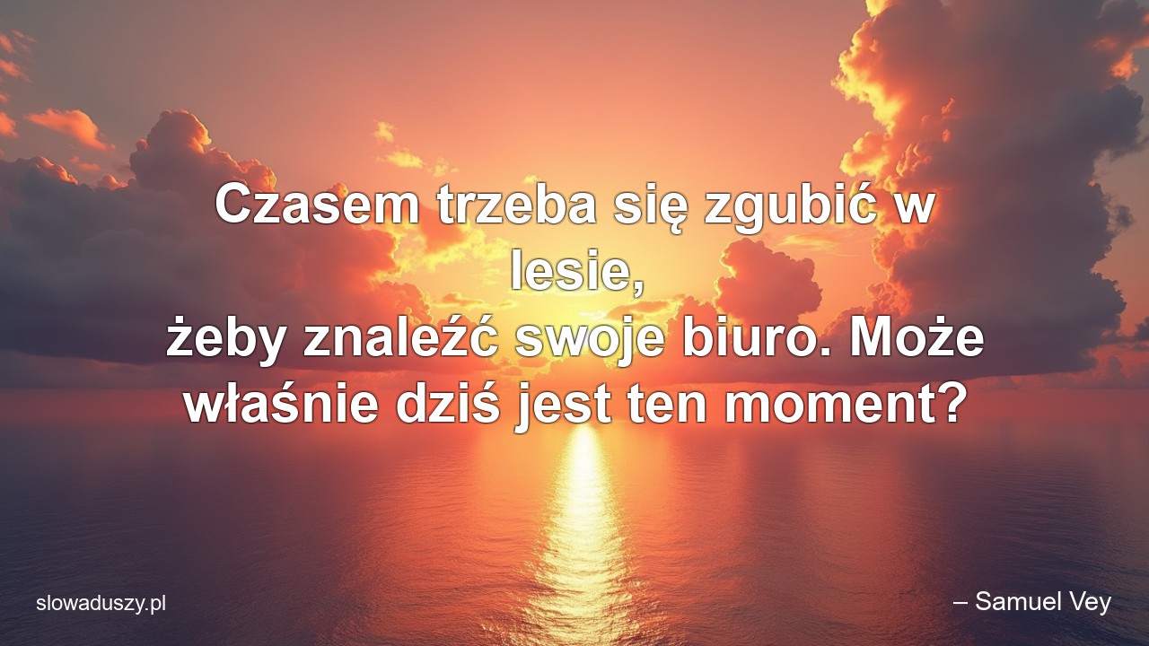 Czasem trzeba się zgubić w lesie,  żeby znaleźć swoje biuro. Może właśnie dziś jest ten moment?