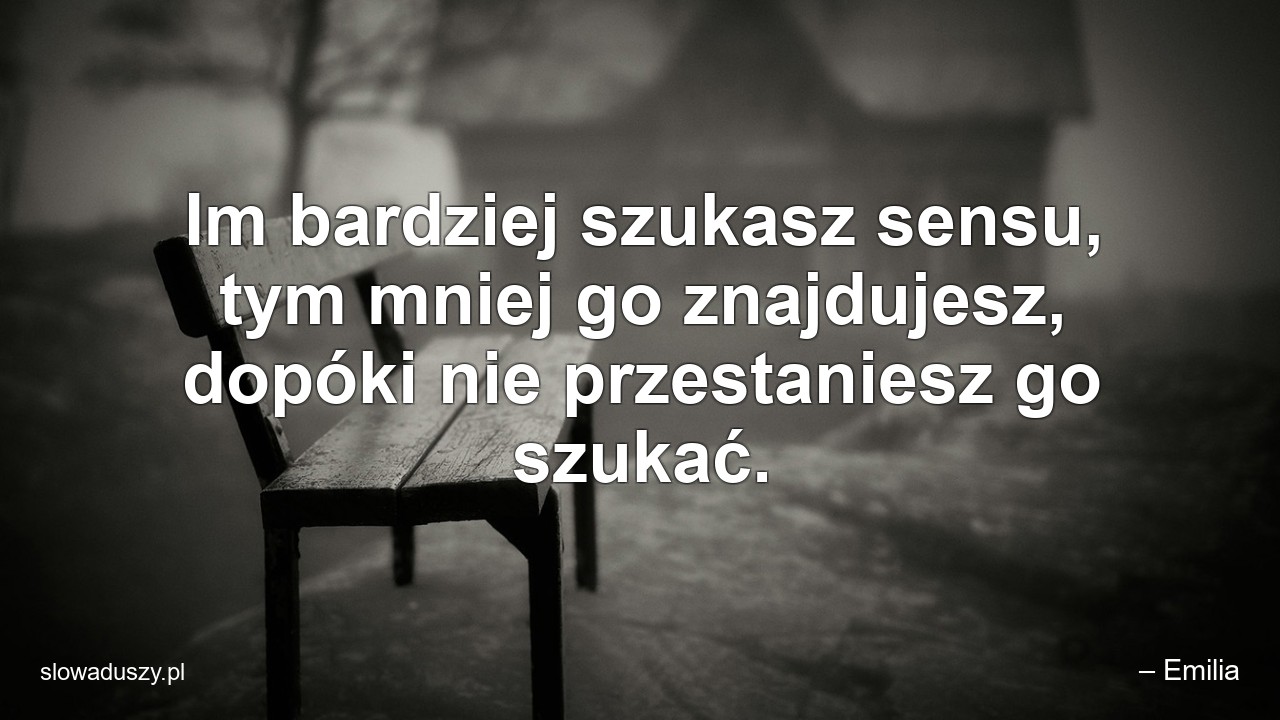 Im bardziej szukasz sensu,  tym mniej go znajdujesz,  dopóki nie przestaniesz go szukać.