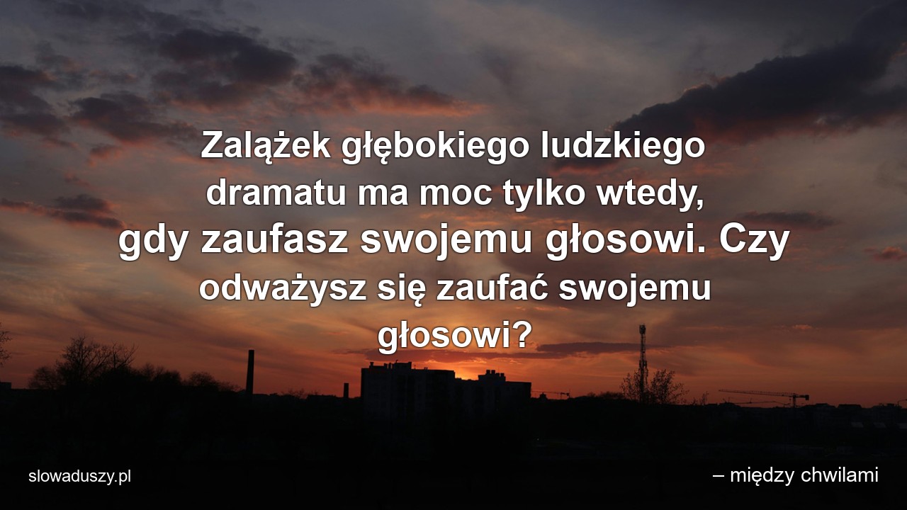 Zalążek głębokiego ludzkiego dramatu ma moc tylko wtedy,  gdy zaufasz swojemu głosowi. Czy odważysz się zaufać swojemu głosowi? - – między chwilami