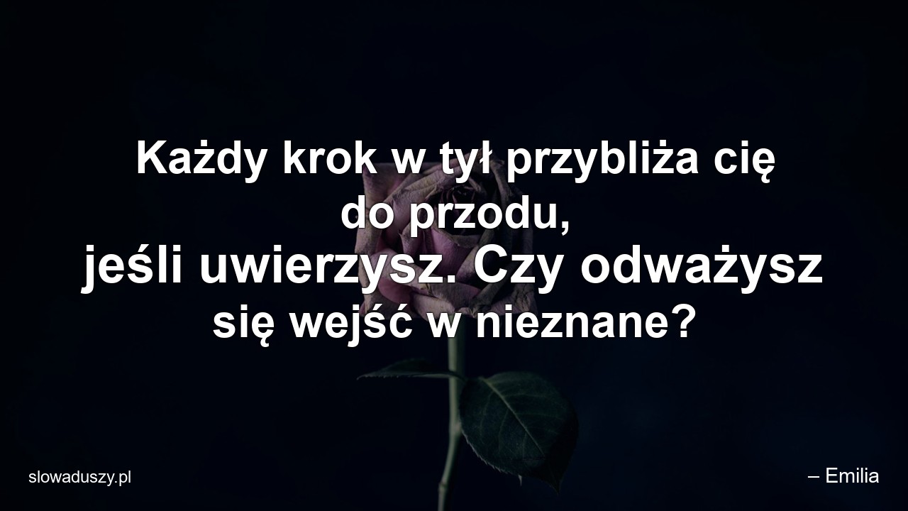 Każdy krok w tył przybliża cię do przodu,  jeśli uwierzysz. Czy odważysz się wejść w nieznane? - – Emilia
