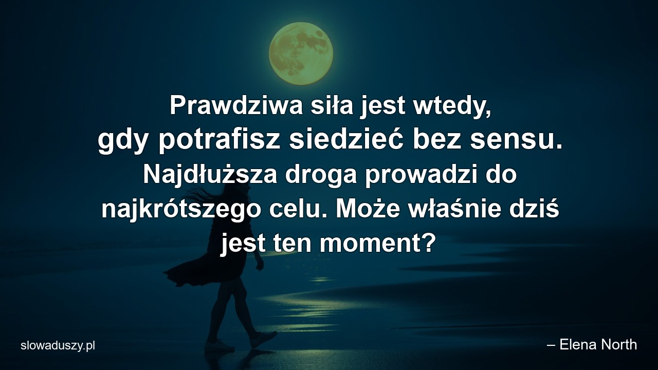 Prawdziwa siła jest wtedy,  gdy potrafisz siedzieć bez sensu. Najdłuższa droga prowadzi do najkrótszego celu. Może właśnie dziś jest ten moment? - – Elena North