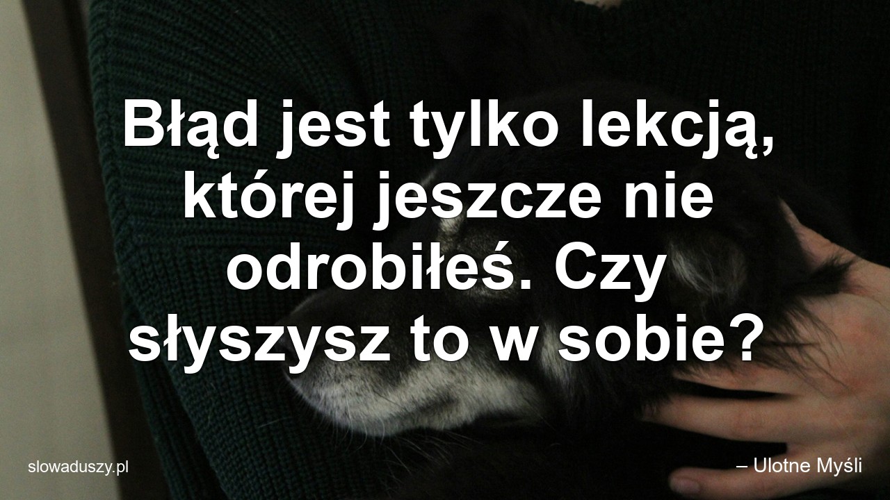 Błąd jest tylko lekcją,  której jeszcze nie odrobiłeś. Czy słyszysz to w sobie?