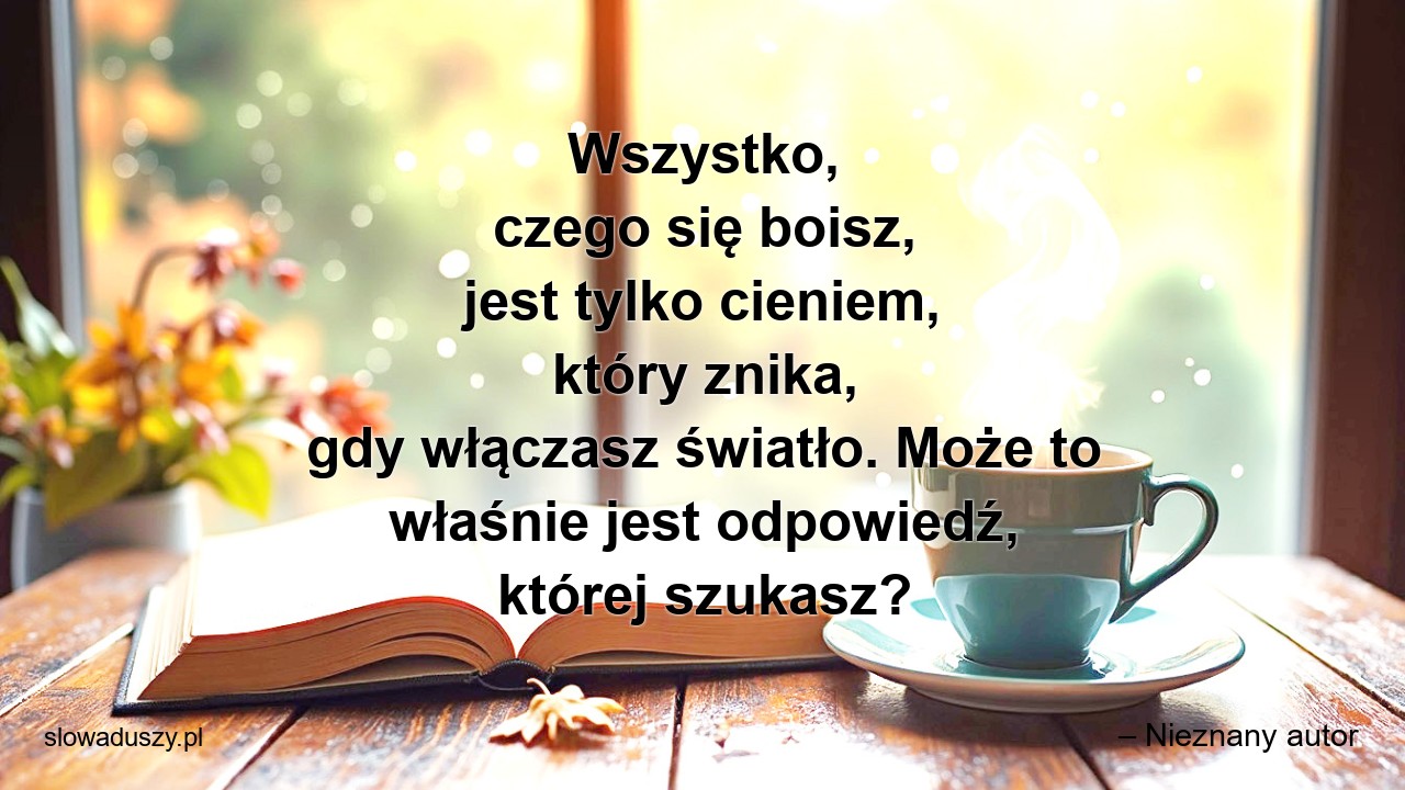 Wszystko,  czego się boisz,  jest tylko cieniem,  który znika,  gdy włączasz światło. Może to właśnie jest odpowiedź,  której szukasz? - – Nieznany autor