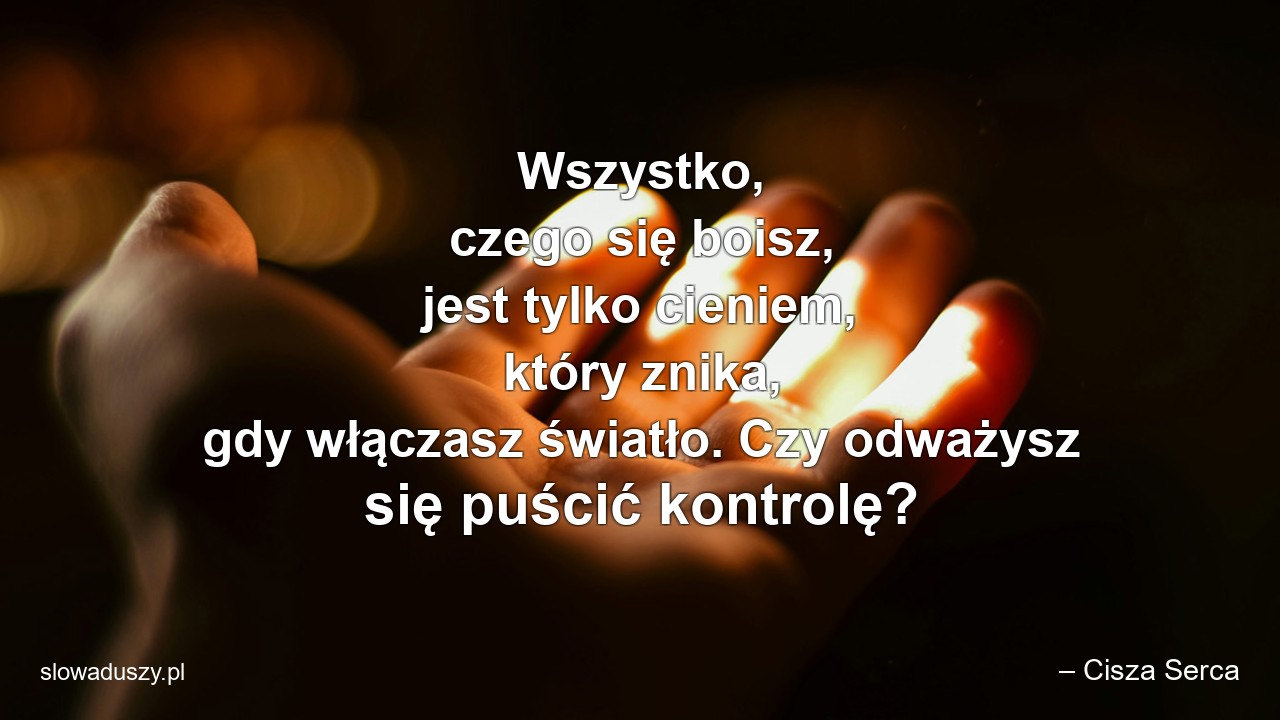 Wszystko,  czego się boisz,  jest tylko cieniem,  który znika,  gdy włączasz światło. Czy odważysz się puścić kontrolę?
