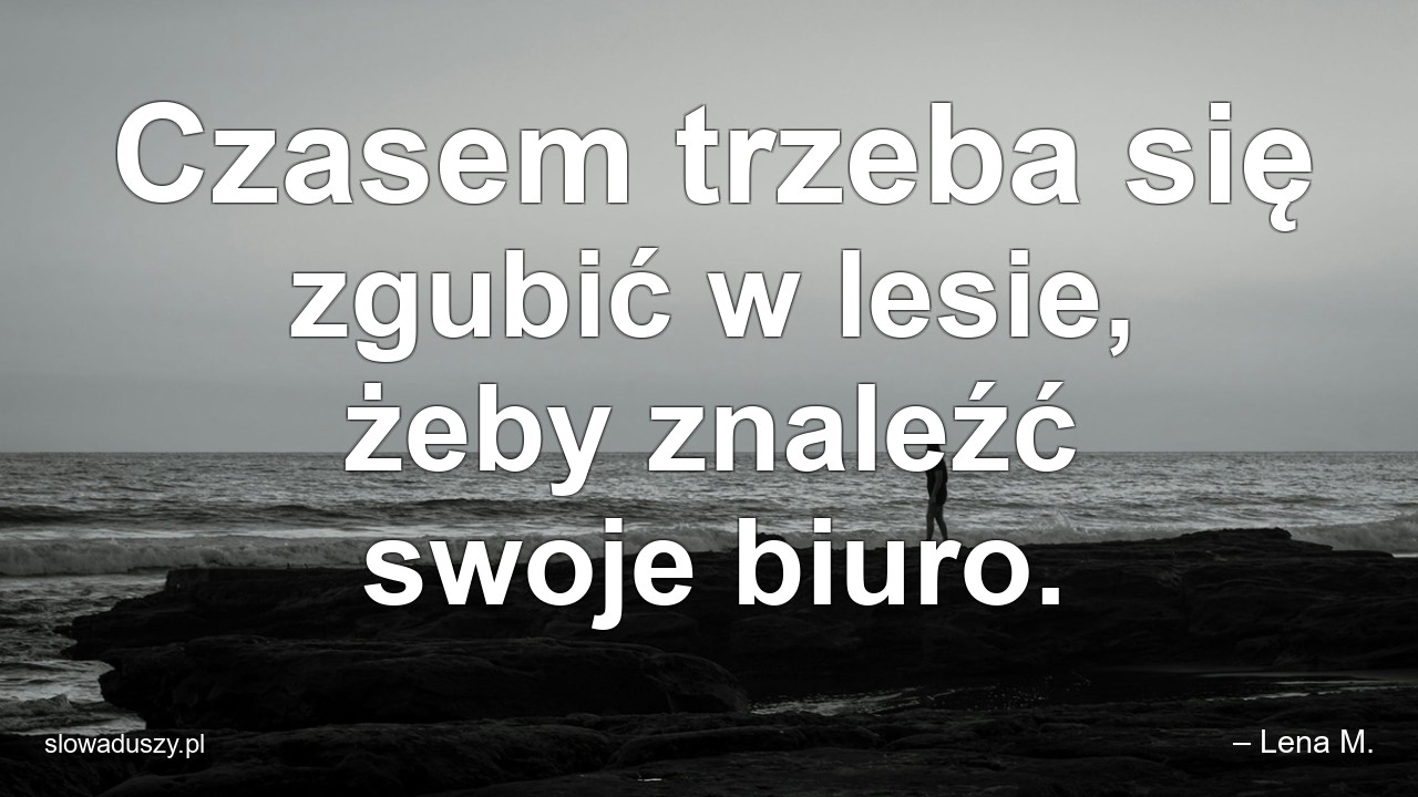 Czasem trzeba się zgubić w lesie,  żeby znaleźć swoje biuro. - – Lena M.