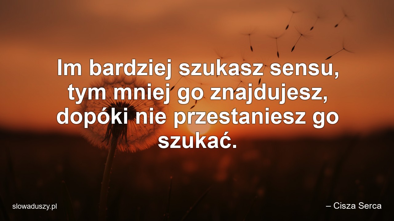 Im bardziej szukasz sensu,  tym mniej go znajdujesz,  dopóki nie przestaniesz go szukać.
