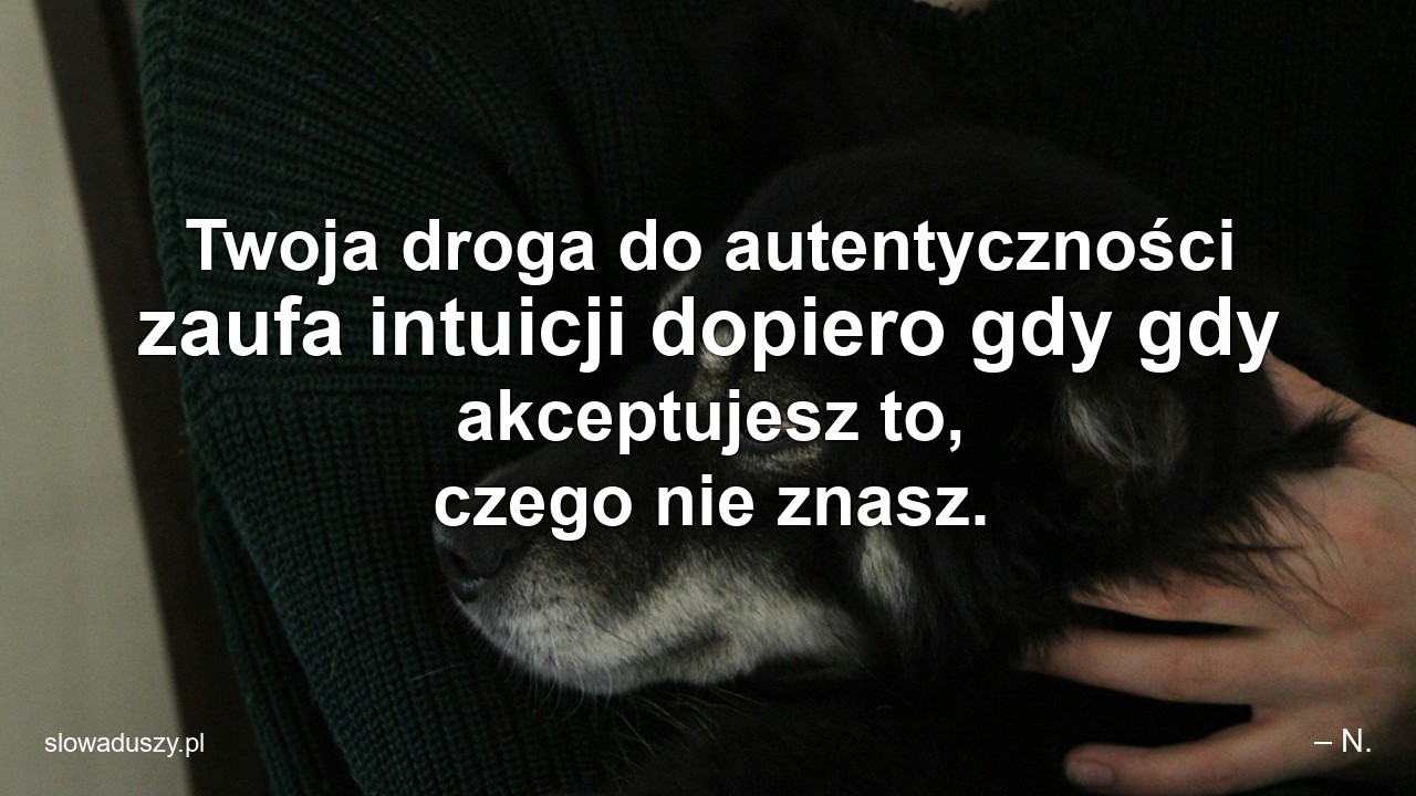 Twoja droga do autentyczności zaufa intuicji dopiero gdy gdy akceptujesz to,  czego nie znasz. - – N.