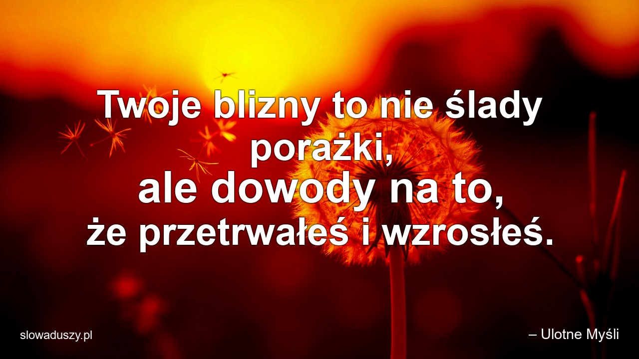 Twoje blizny to nie ślady porażki,  ale dowody na to,  że przetrwałeś i wzrosłeś.