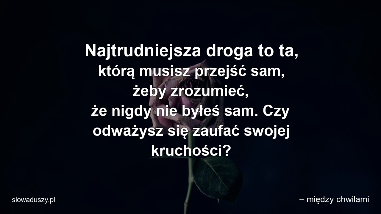 Najtrudniejsza droga to ta,  którą musisz przejść sam,  żeby zrozumieć,  że nigdy nie byłeś sam. Czy odważysz się zaufać swojej kruchości? - – między chwilami