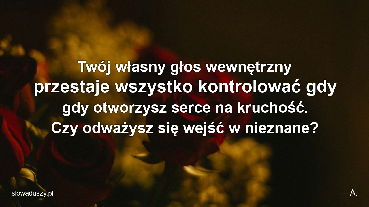 Twój własny głos wewnętrzny przestaje wszystko kontrolować gdy gdy otworzysz serce na kruchość. Czy odważysz się wejść w nieznane?