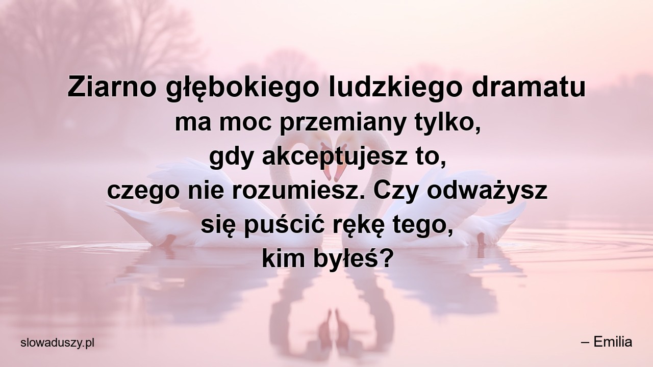 Ziarno głębokiego ludzkiego dramatu ma moc przemiany tylko,  gdy akceptujesz to,  czego nie rozumiesz. Czy odważysz się puścić rękę tego,  kim byłeś?