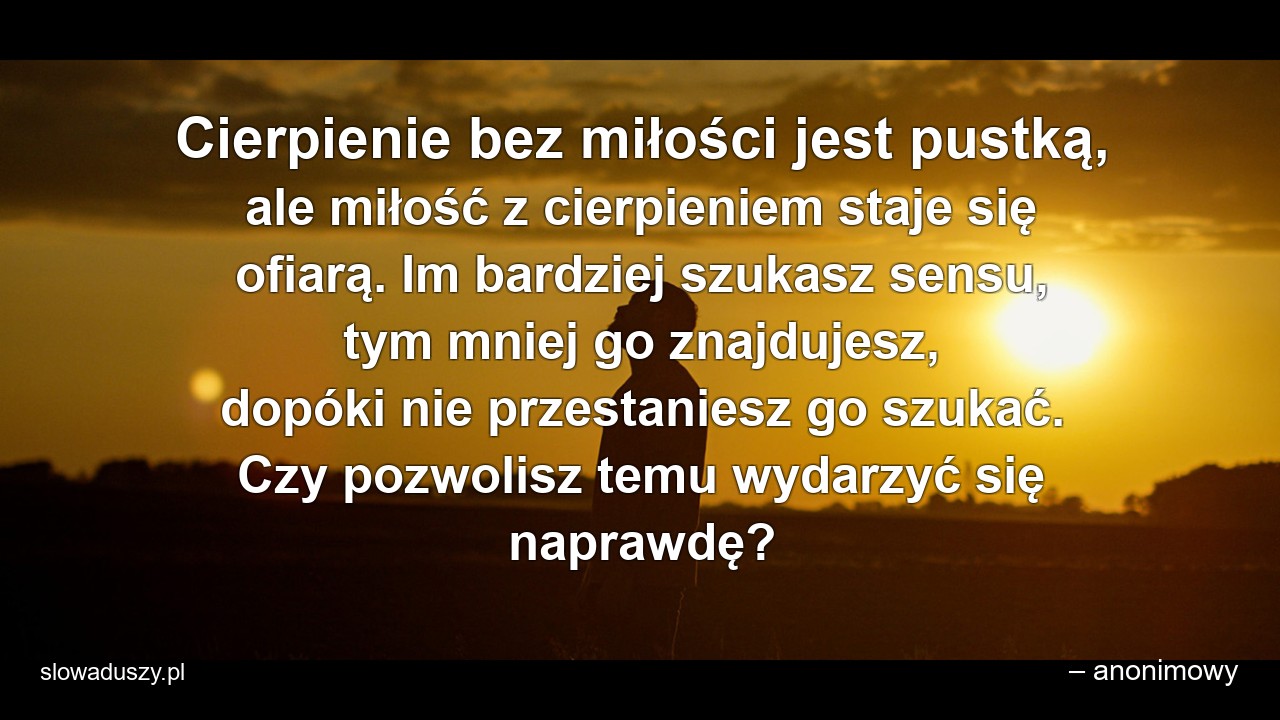 Cierpienie bez miłości jest pustką,  ale miłość z cierpieniem staje się ofiarą. Im bardziej szukasz sensu,  tym mniej go znajdujesz,  dopóki nie przestaniesz go szukać. Czy pozwolisz temu wydarzyć się naprawdę?