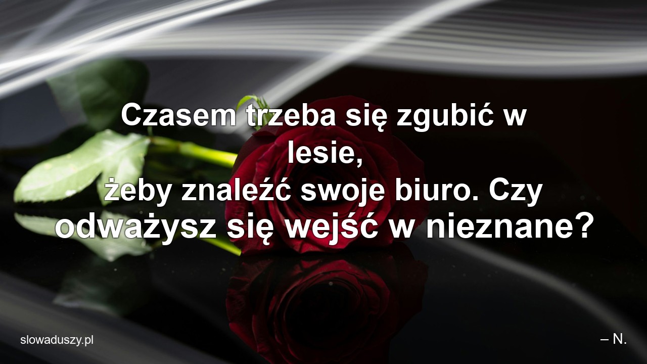Czasem trzeba się zgubić w lesie,  żeby znaleźć swoje biuro. Czy odważysz się wejść w nieznane?