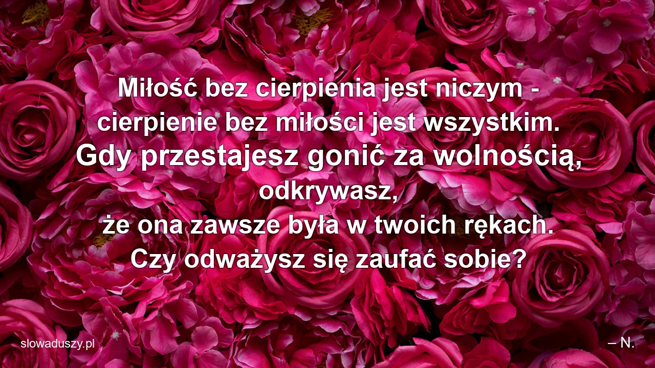 Miłość bez cierpienia jest niczym - cierpienie bez miłości jest wszystkim. Gdy przestajesz gonić za wolnością,  odkrywasz,  że ona zawsze była w twoich rękach. Czy odważysz się zaufać sobie? - – N.