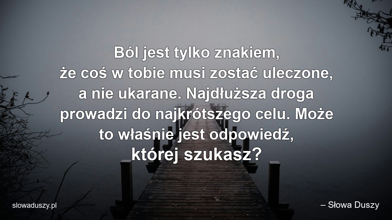 Ból jest tylko znakiem,  że coś w tobie musi zostać uleczone,  a nie ukarane. Najdłuższa droga prowadzi do najkrótszego celu. Może to właśnie jest odpowiedź,  której szukasz? - – Słowa Duszy