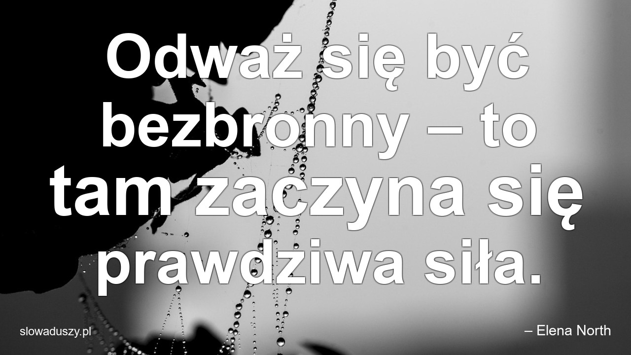 Odważ się być bezbronny – to tam zaczyna się prawdziwa siła. - – Elena North