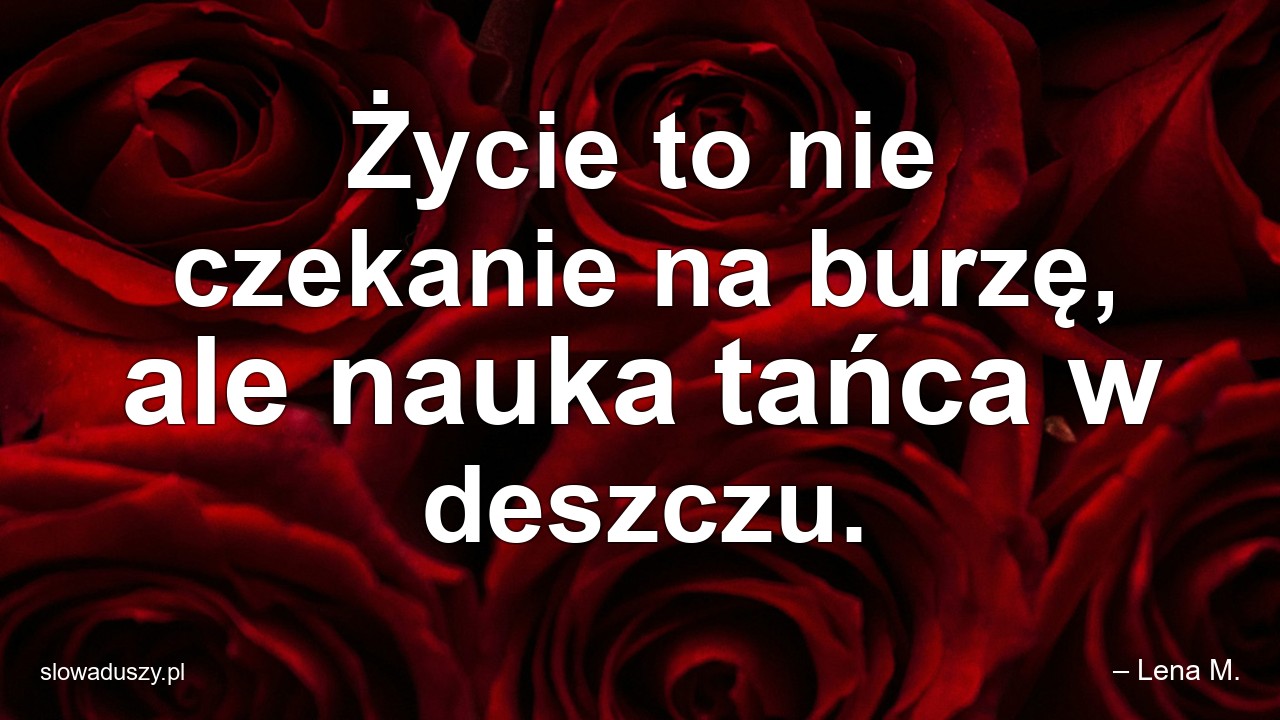 Życie to nie czekanie na burzę,  ale nauka tańca w deszczu. - – Lena M.