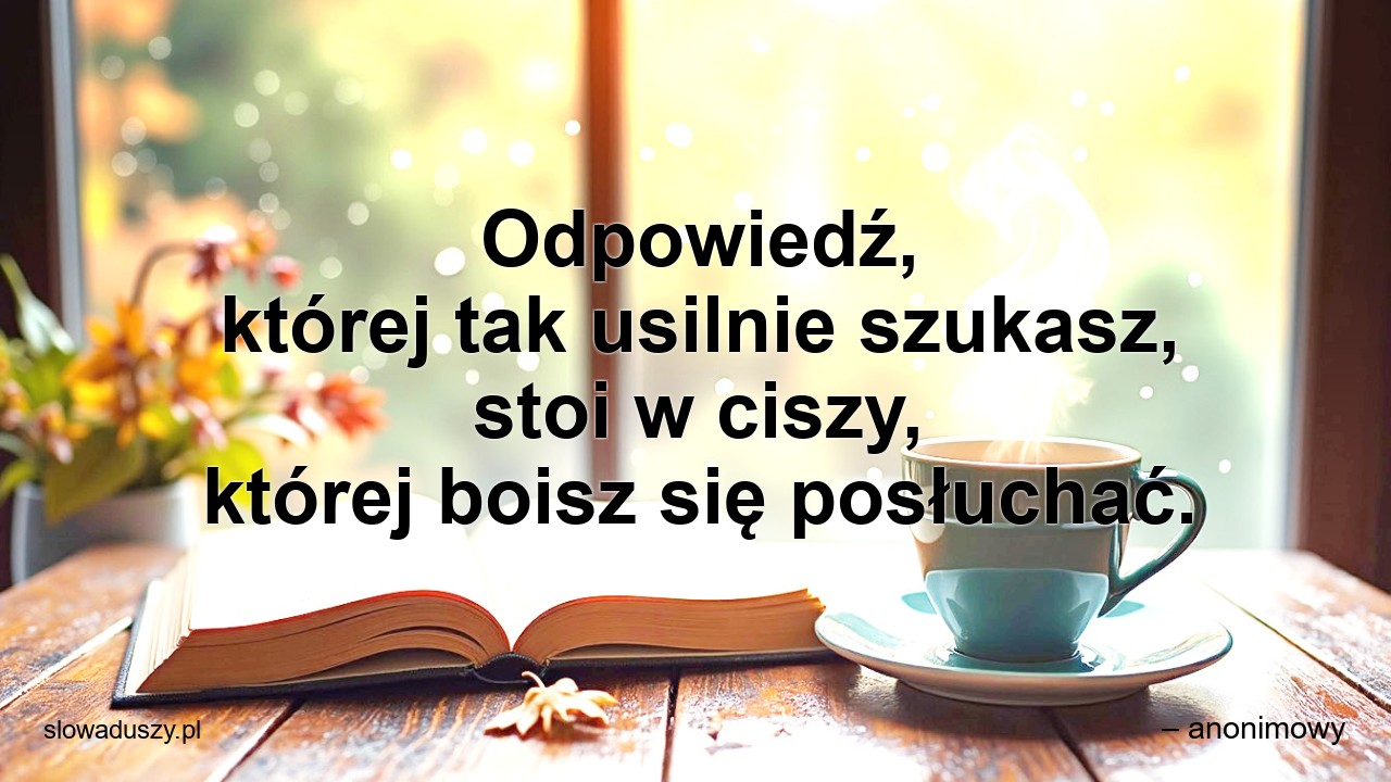 Odpowiedź,  której tak usilnie szukasz,  stoi w ciszy,  której boisz się posłuchać. - – anonimowy