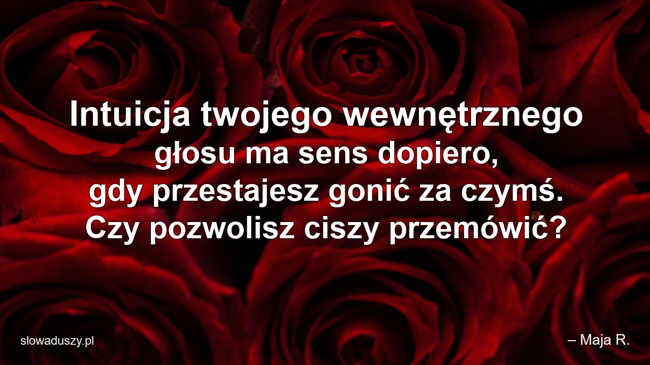 Intuicja twojego wewnętrznego głosu ma sens dopiero,  gdy przestajesz gonić za czymś. Czy pozwolisz ciszy przemówić? - – Maja R.