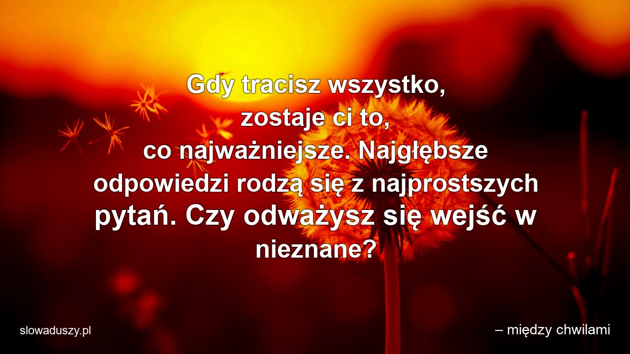 Gdy tracisz wszystko,  zostaje ci to,  co najważniejsze. Najgłębsze odpowiedzi rodzą się z najprostszych pytań. Czy odważysz się wejść w nieznane?