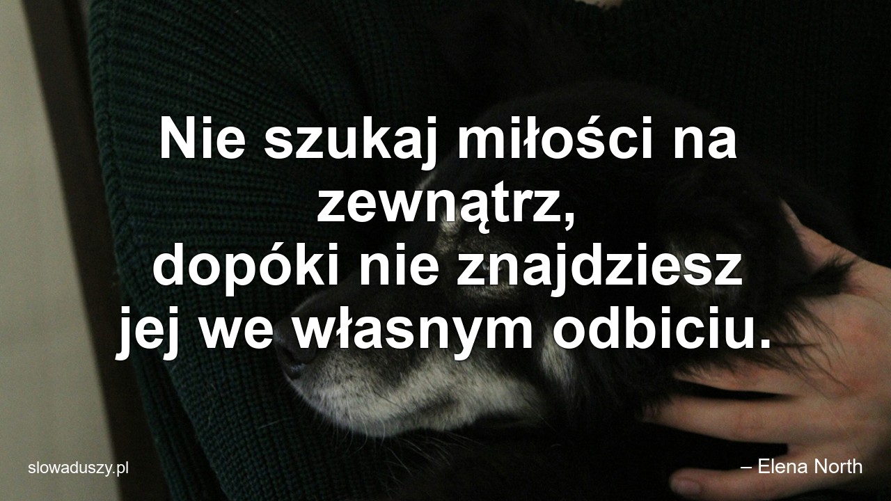 Nie szukaj miłości na zewnątrz,  dopóki nie znajdziesz jej we własnym odbiciu.