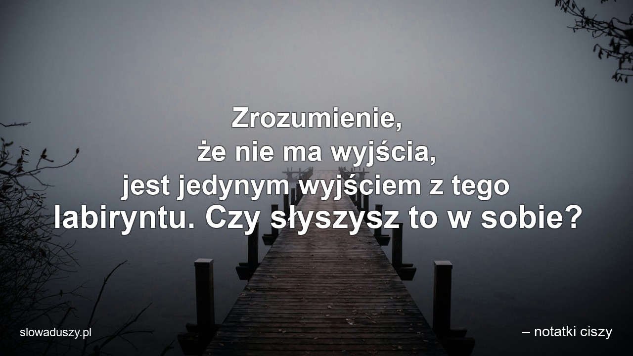 Zrozumienie,  że nie ma wyjścia,  jest jedynym wyjściem z tego labiryntu. Czy słyszysz to w sobie?