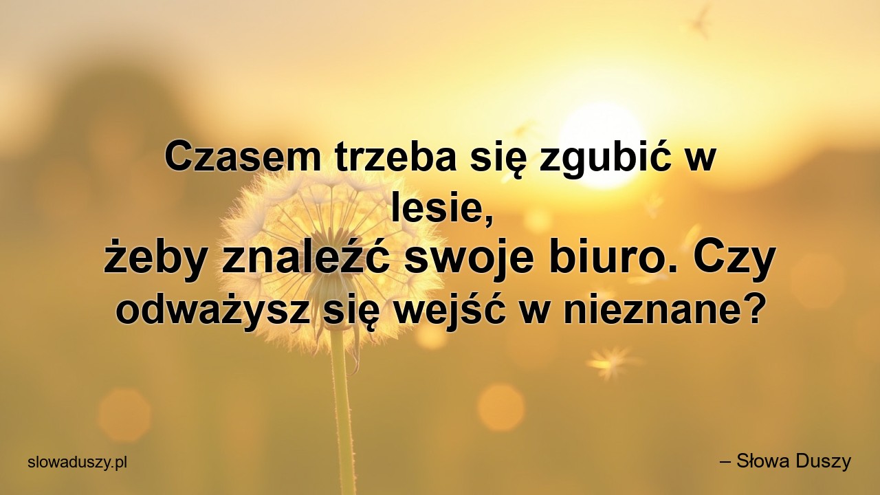 Czasem trzeba się zgubić w lesie,  żeby znaleźć swoje biuro. Czy odważysz się wejść w nieznane?