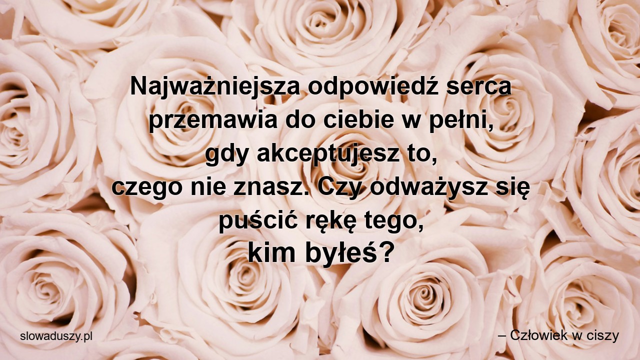 Najważniejsza odpowiedź serca przemawia do ciebie w pełni,  gdy akceptujesz to,  czego nie znasz. Czy odważysz się puścić rękę tego,  kim byłeś? - – Człowiek w ciszy