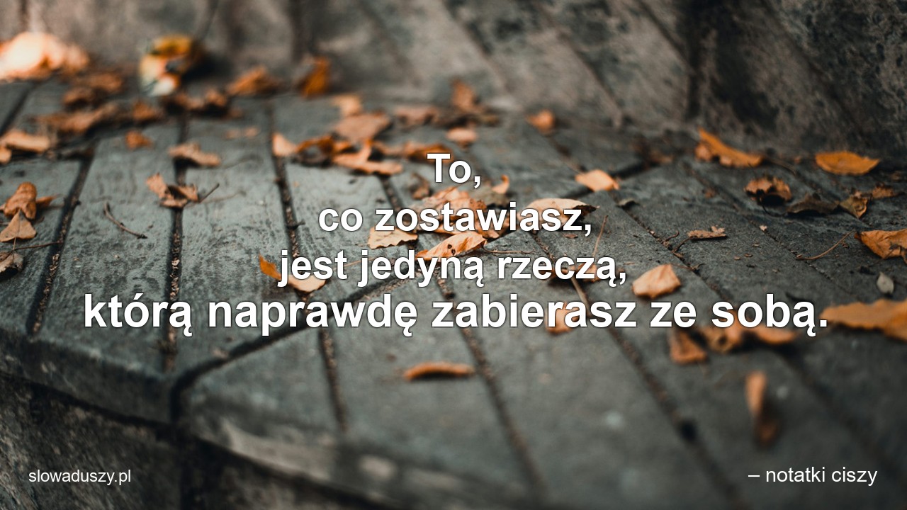 To,  co zostawiasz,  jest jedyną rzeczą,  którą naprawdę zabierasz ze sobą. - – notatki ciszy