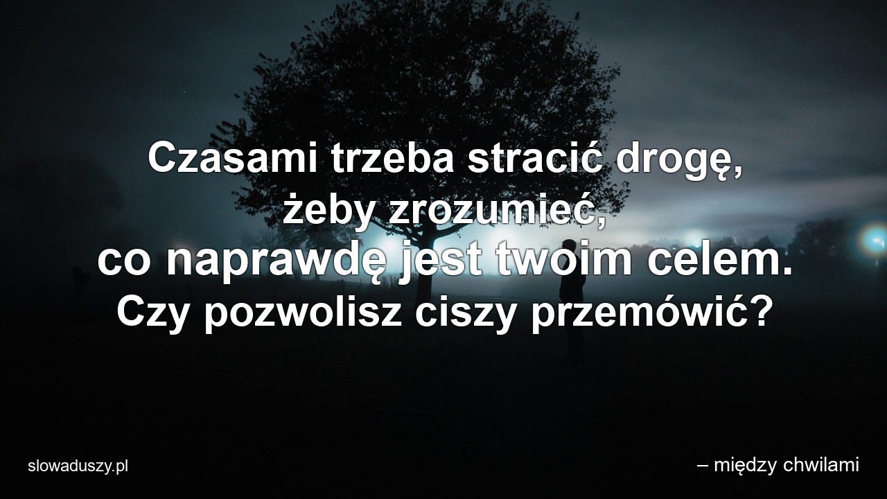 Czasami trzeba stracić drogę,  żeby zrozumieć,  co naprawdę jest twoim celem. Czy pozwolisz ciszy przemówić? - – między chwilami