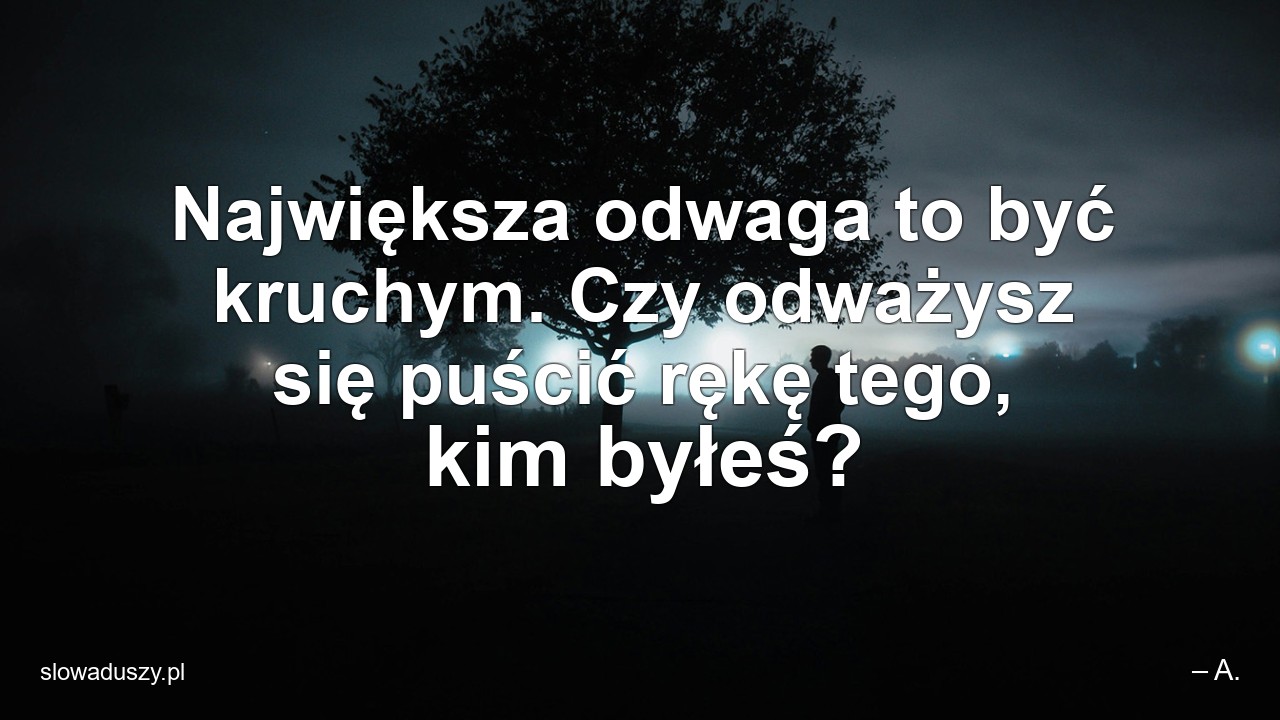 Największa odwaga to być kruchym. Czy odważysz się puścić rękę tego,  kim byłeś?